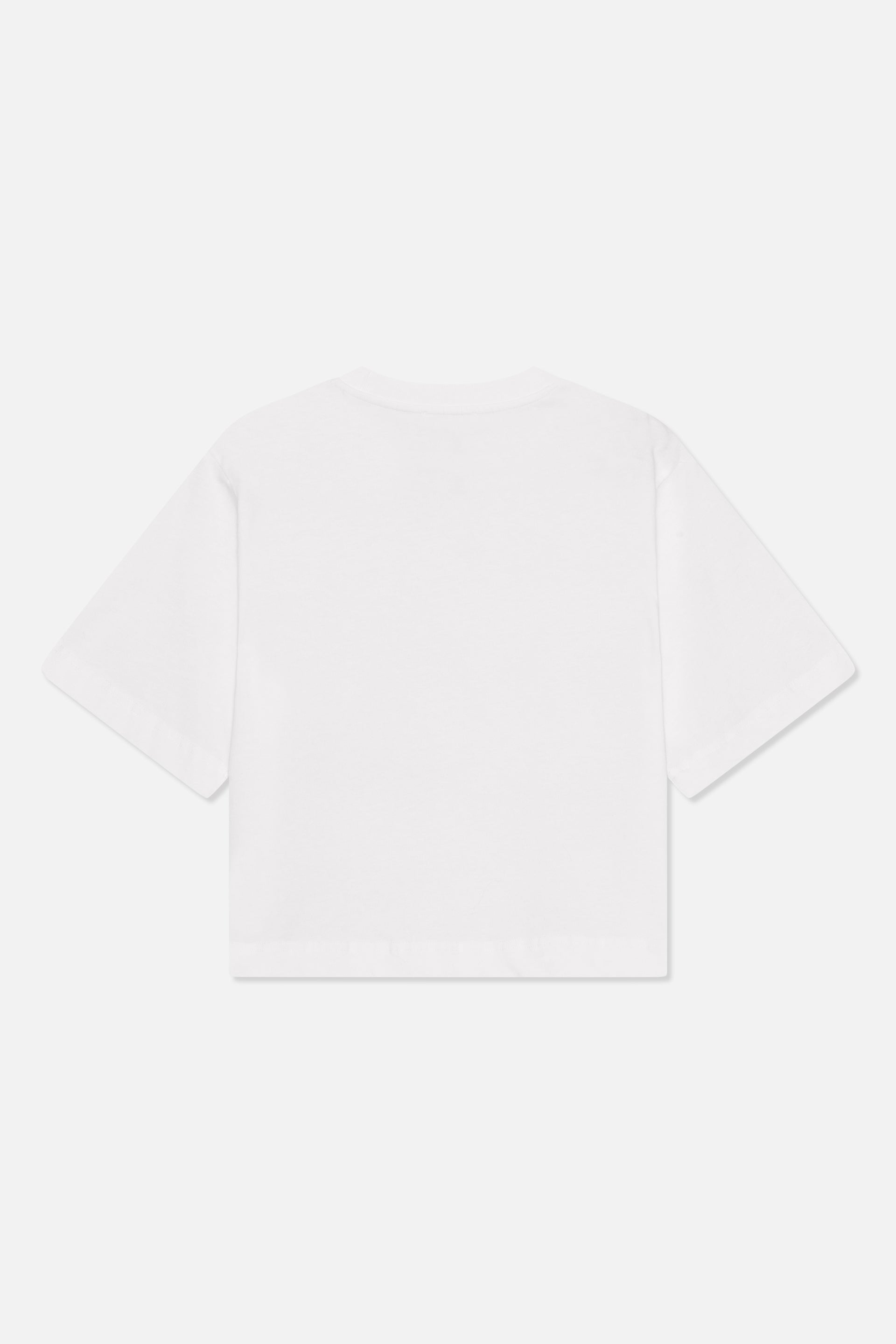 22135_1000_5.jpg media file