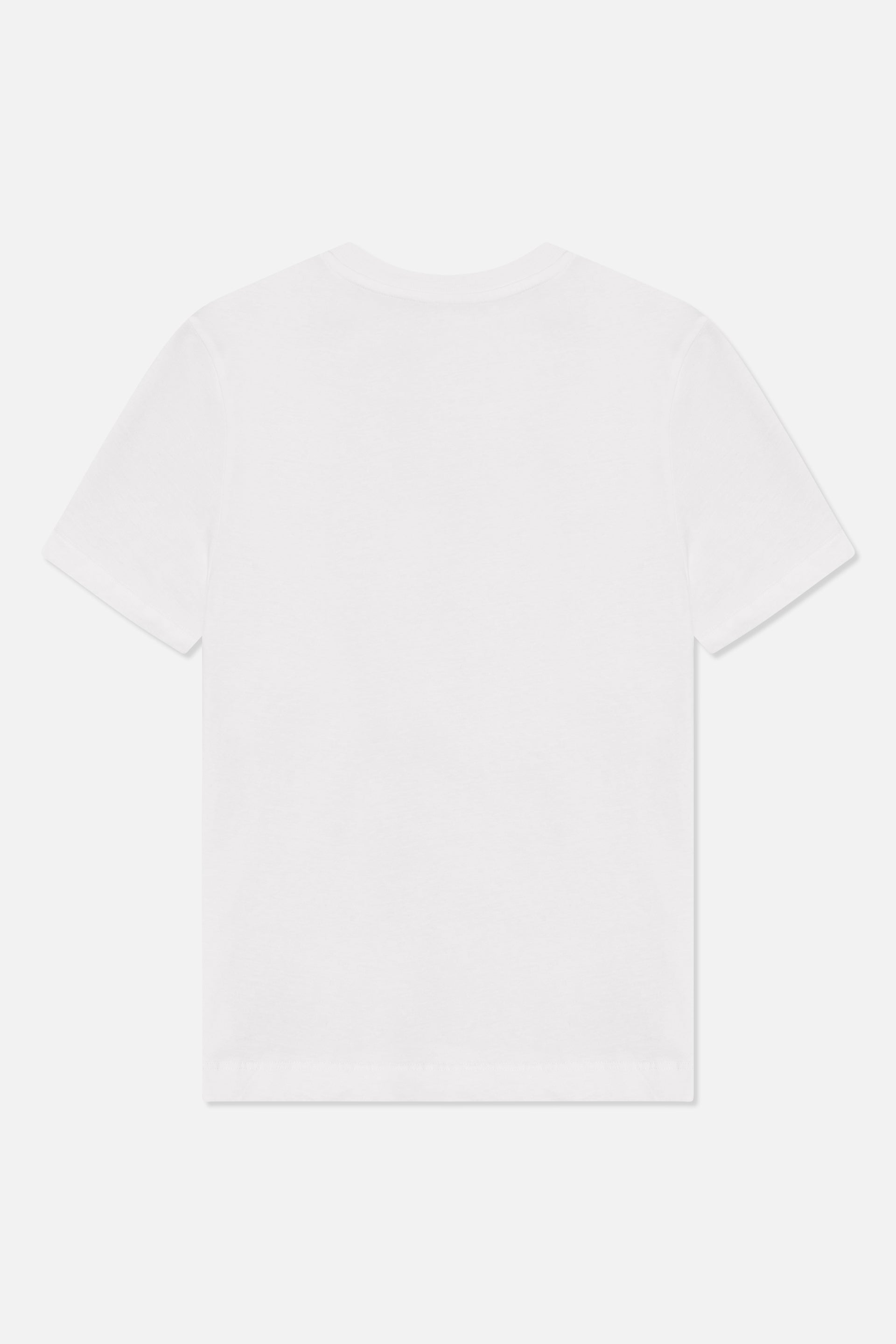 22137_1000_5.jpg media file