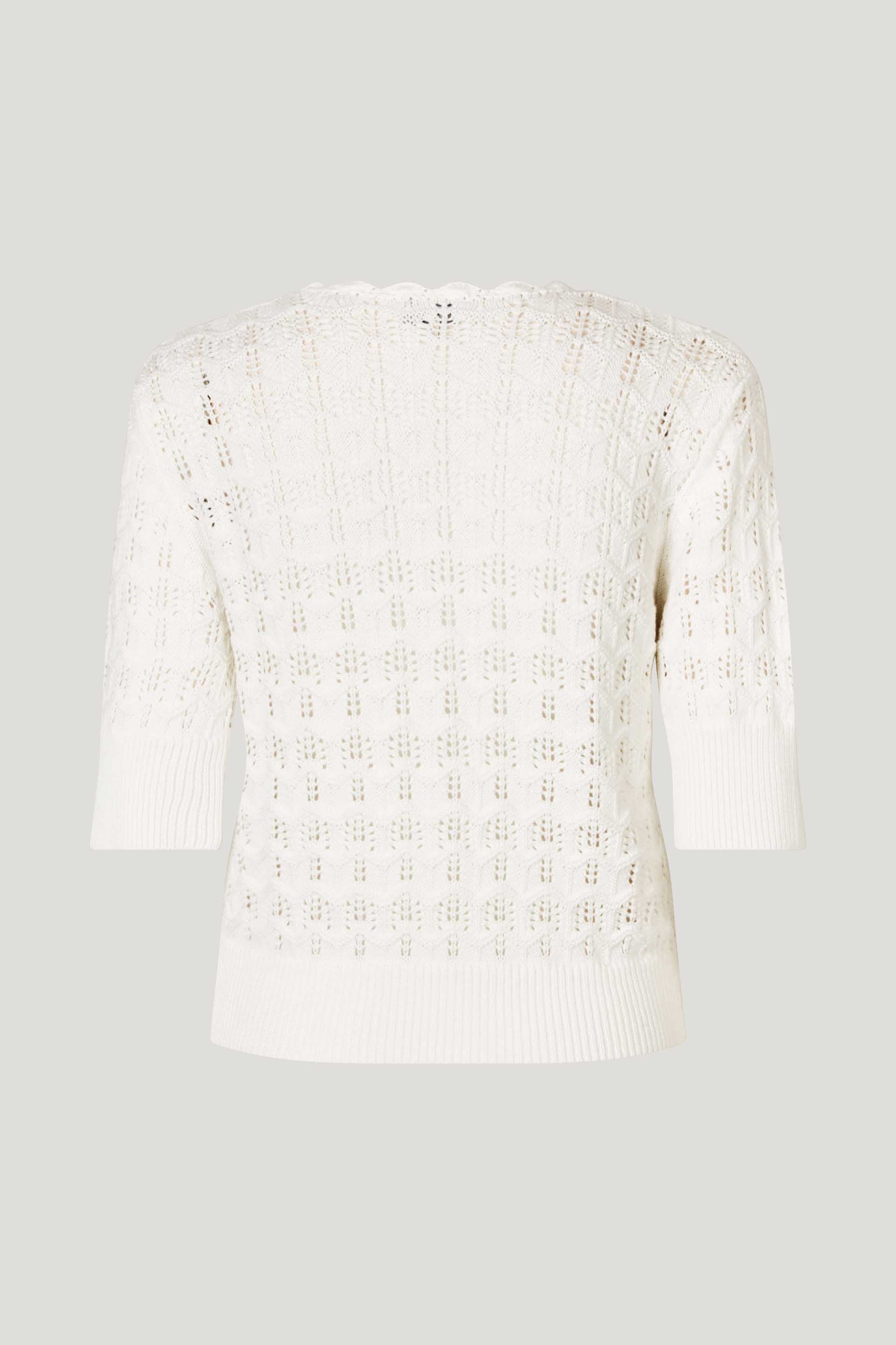 23674_1139_Packback.jpg media file