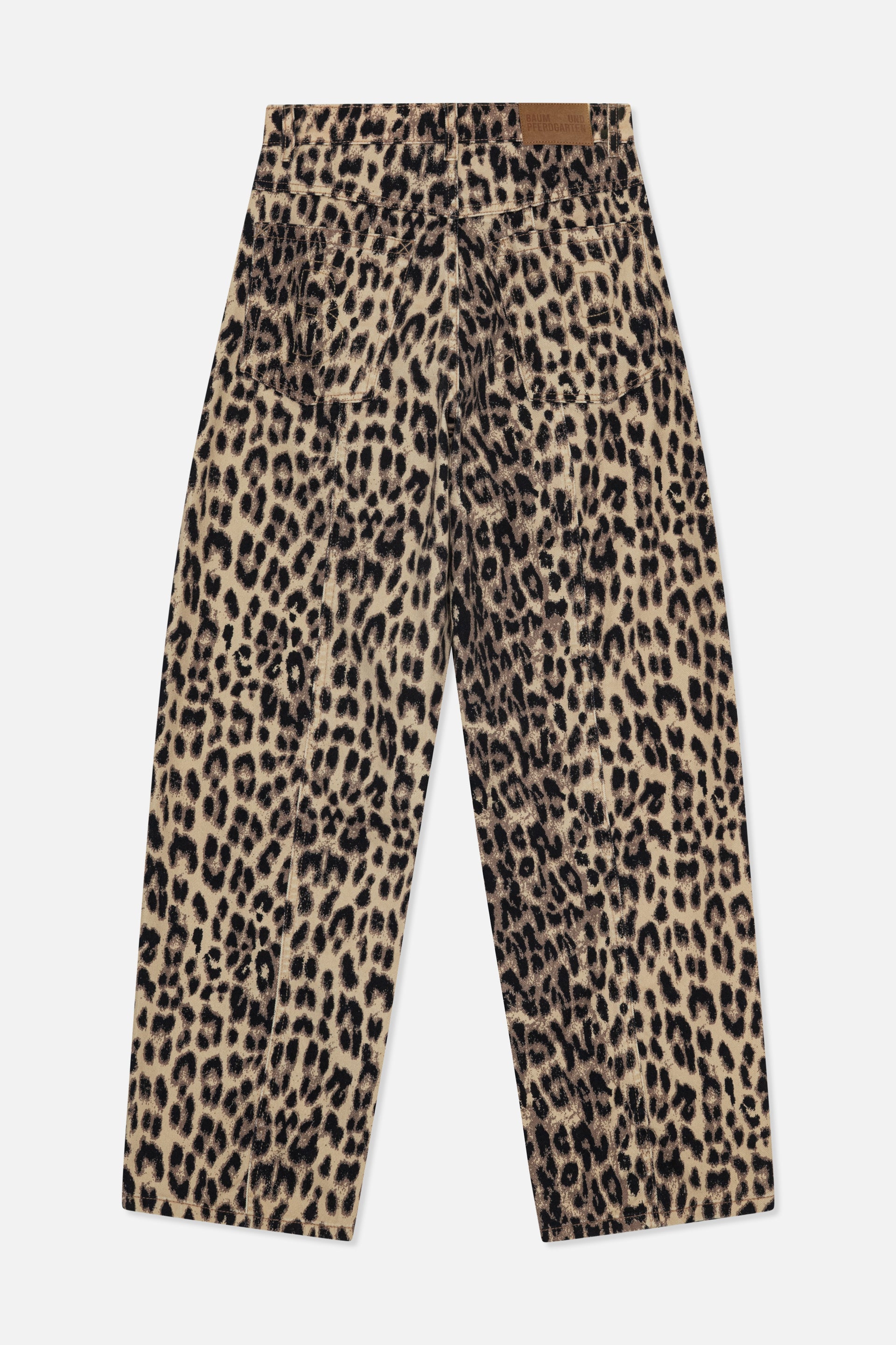 24216_1366_5.jpg media file