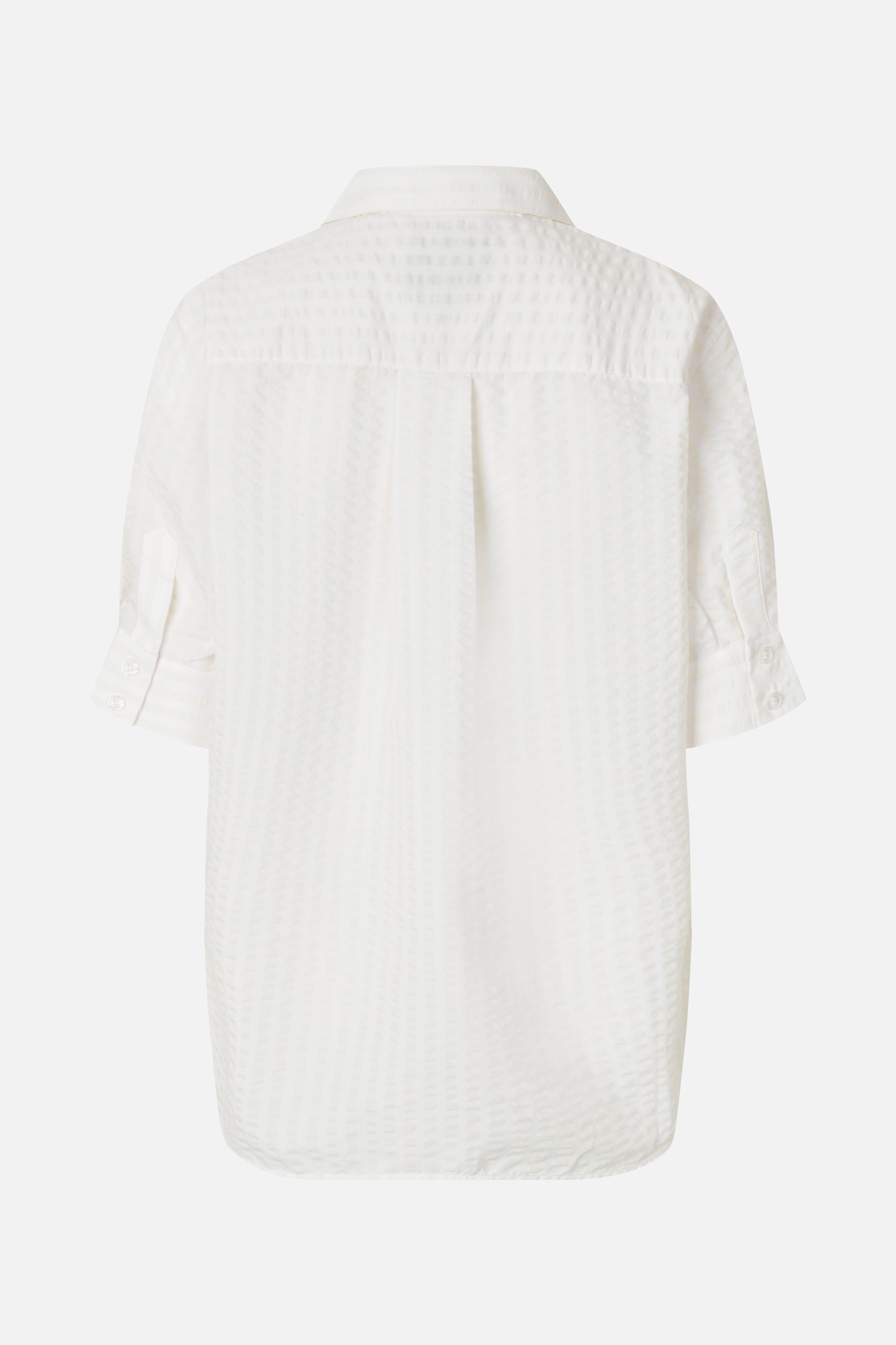 24264_1069_5.jpg media file