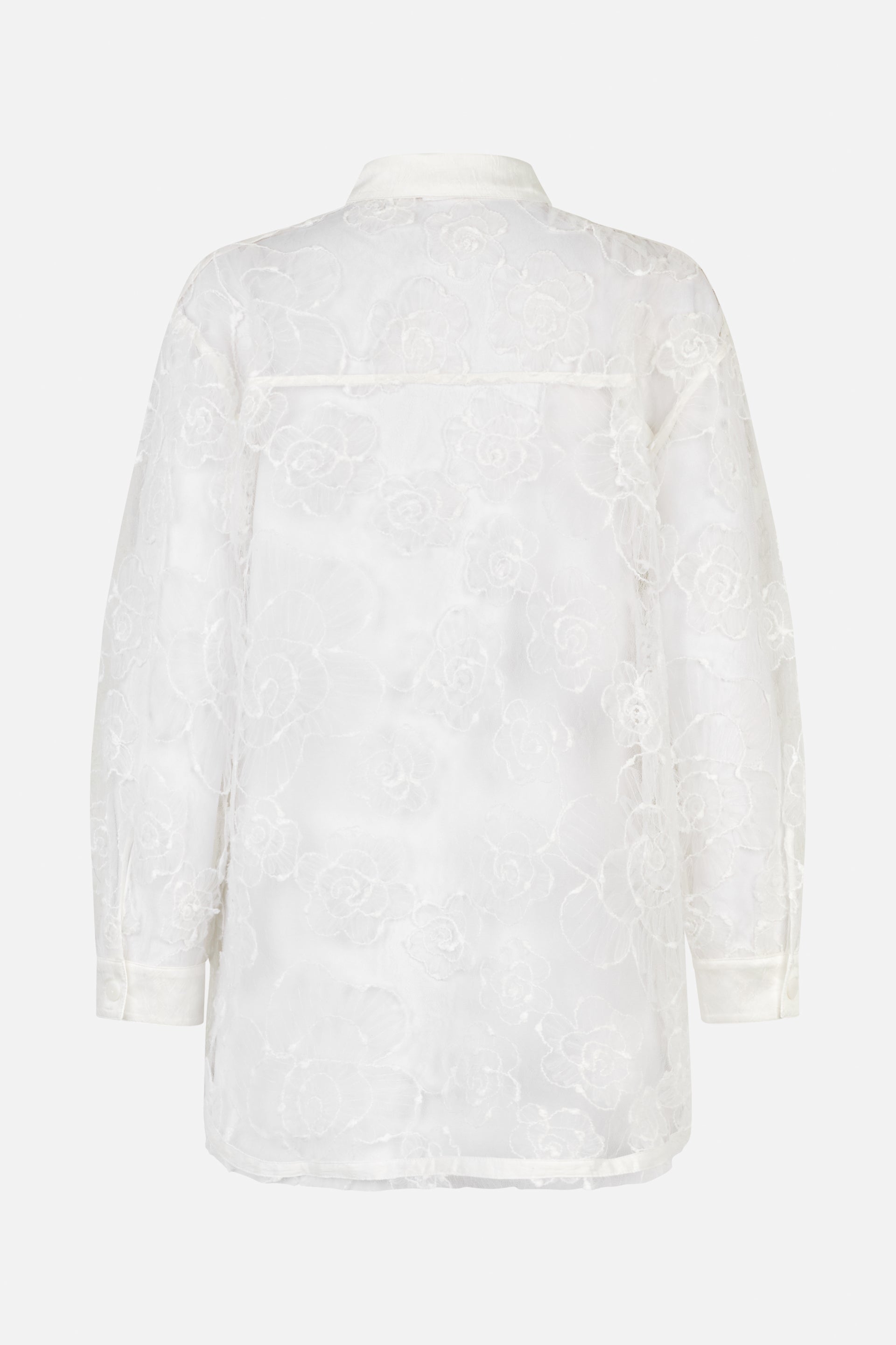 24283_1070_5.jpg media file