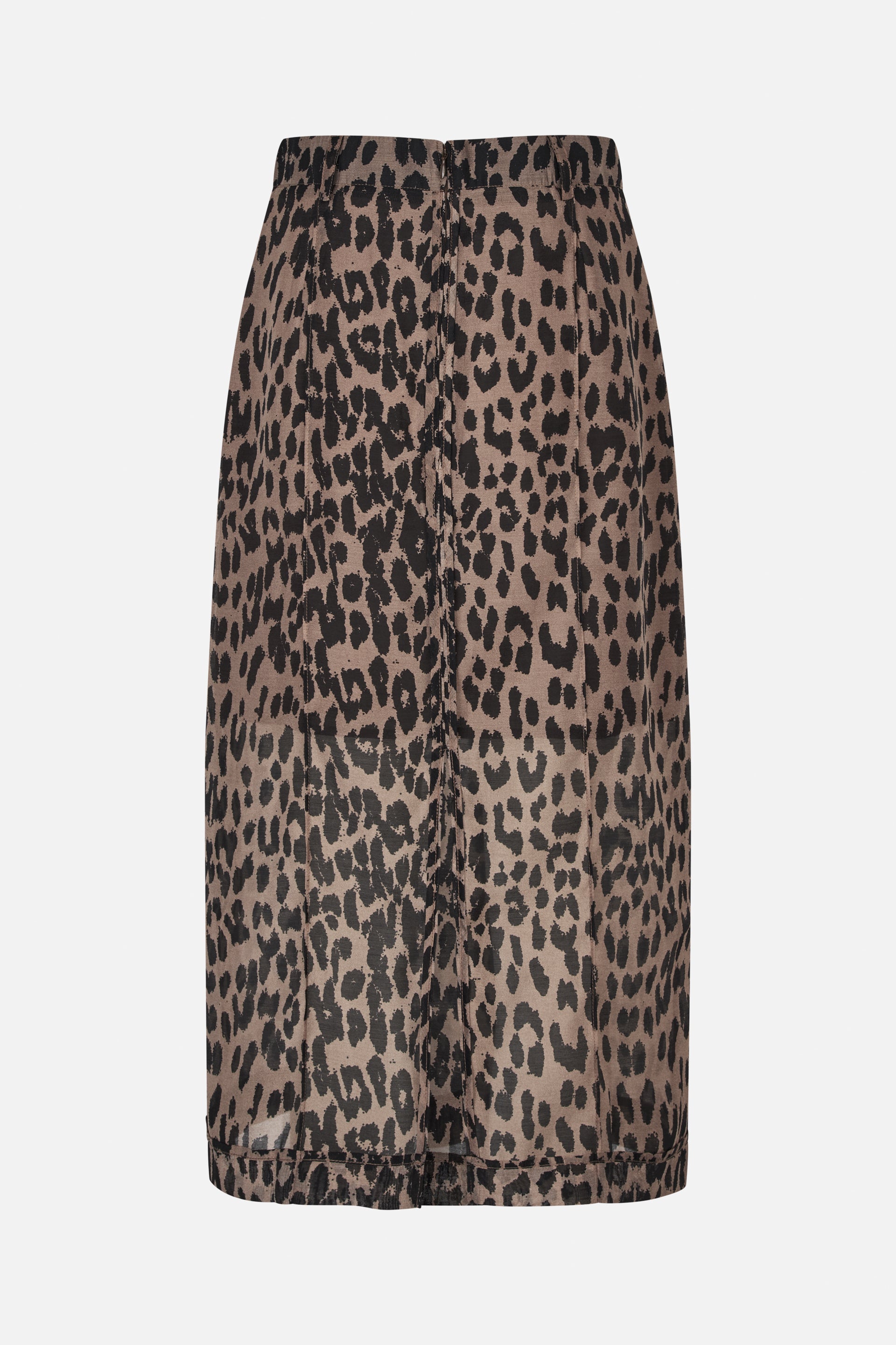 24390_8209_5.jpg media file