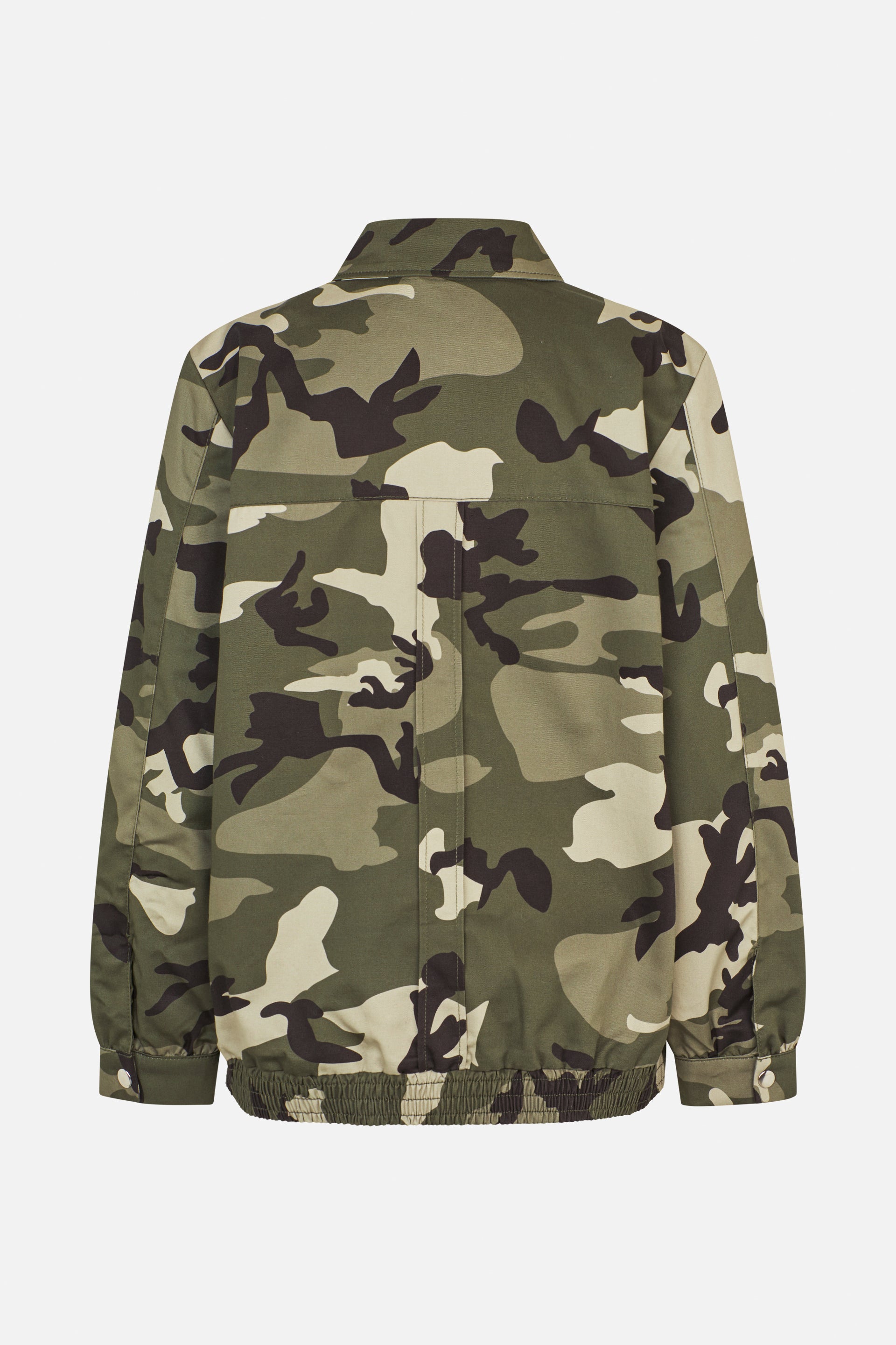 24725_5045_5.jpg media file