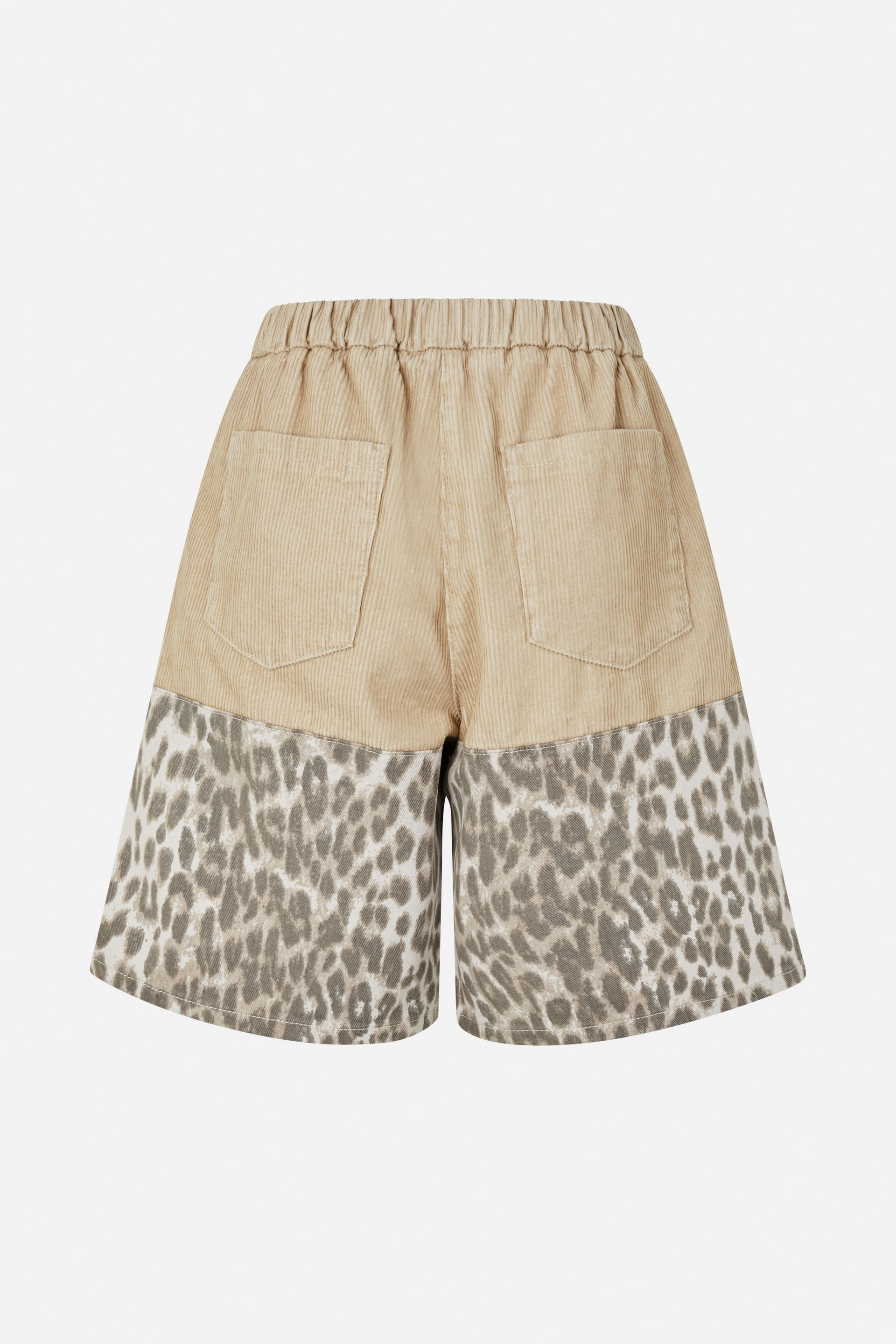 24734_8224_5.jpg media file