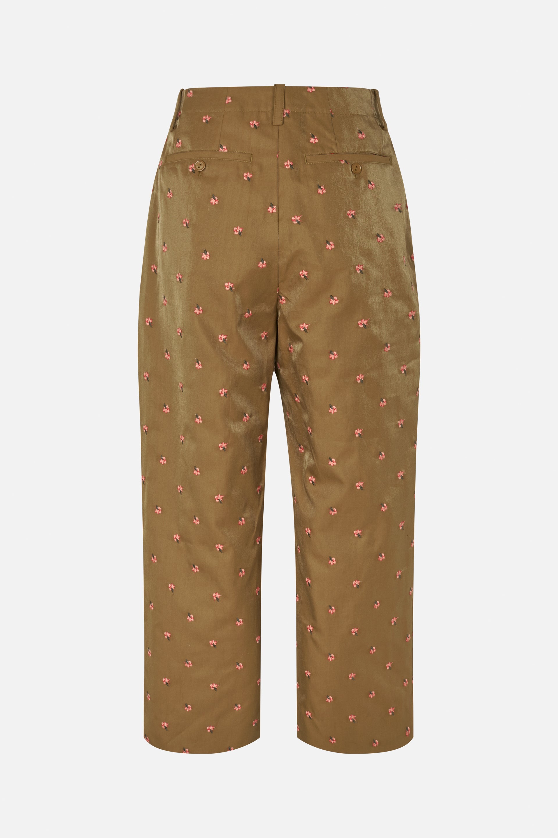 24929_8233_5.jpg media file