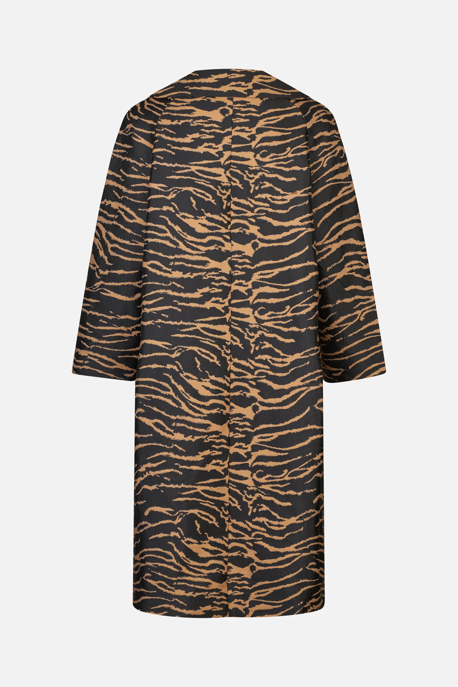 24254_8190_5.jpg media file