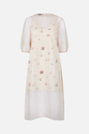 24707_2187_4.jpg media file