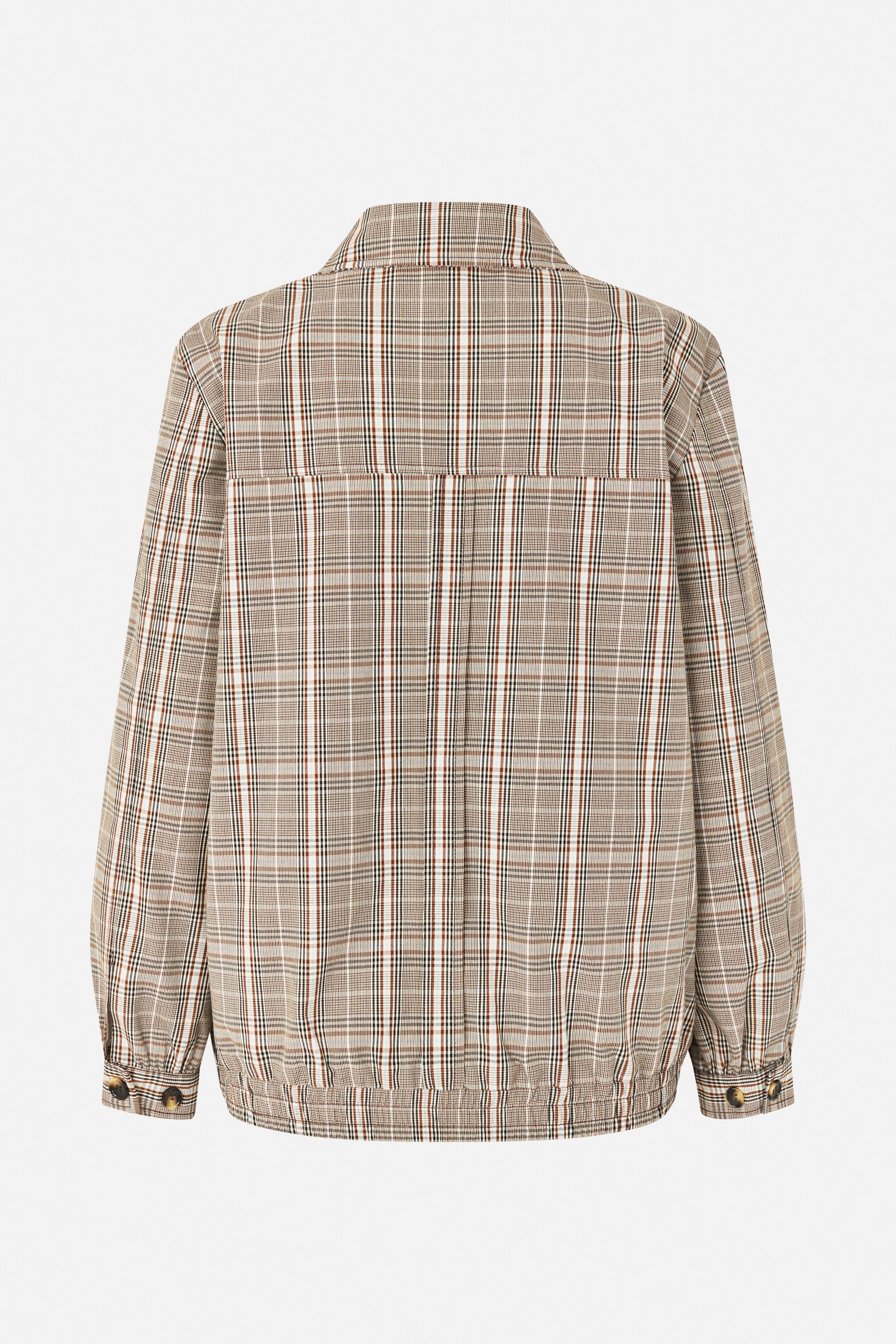 24860_8223_5.jpg media file