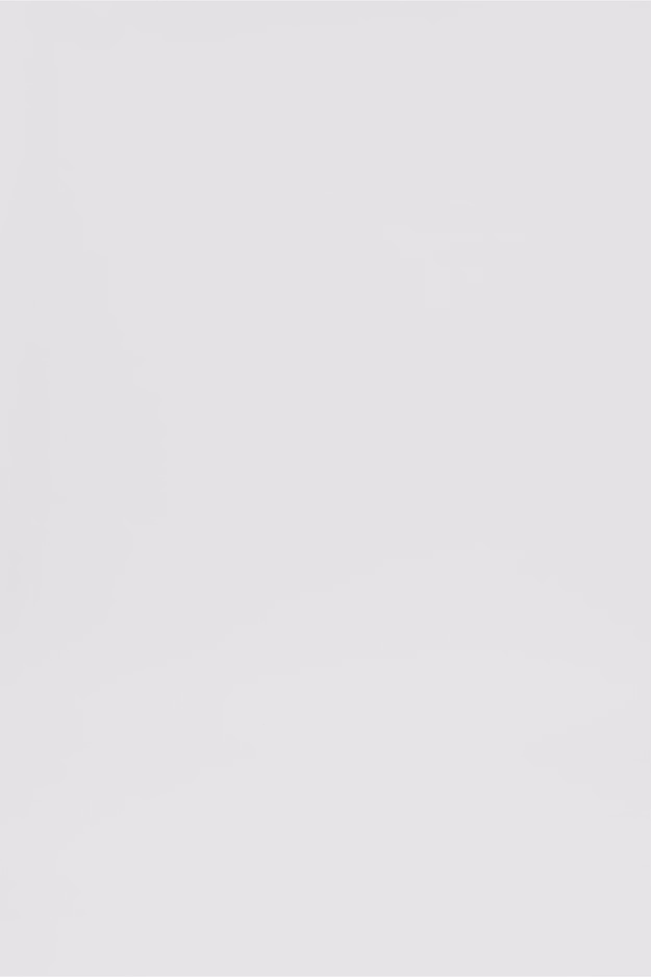 24600_3999_3.mov media file