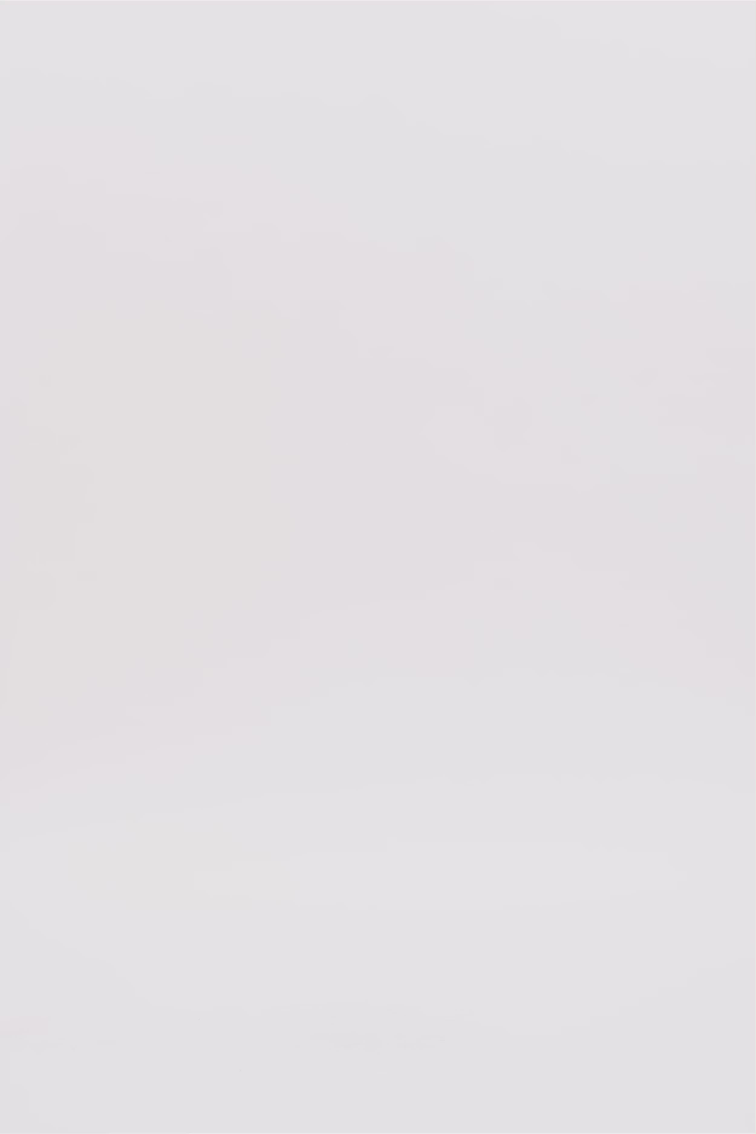 24805_3076_3.mov media file