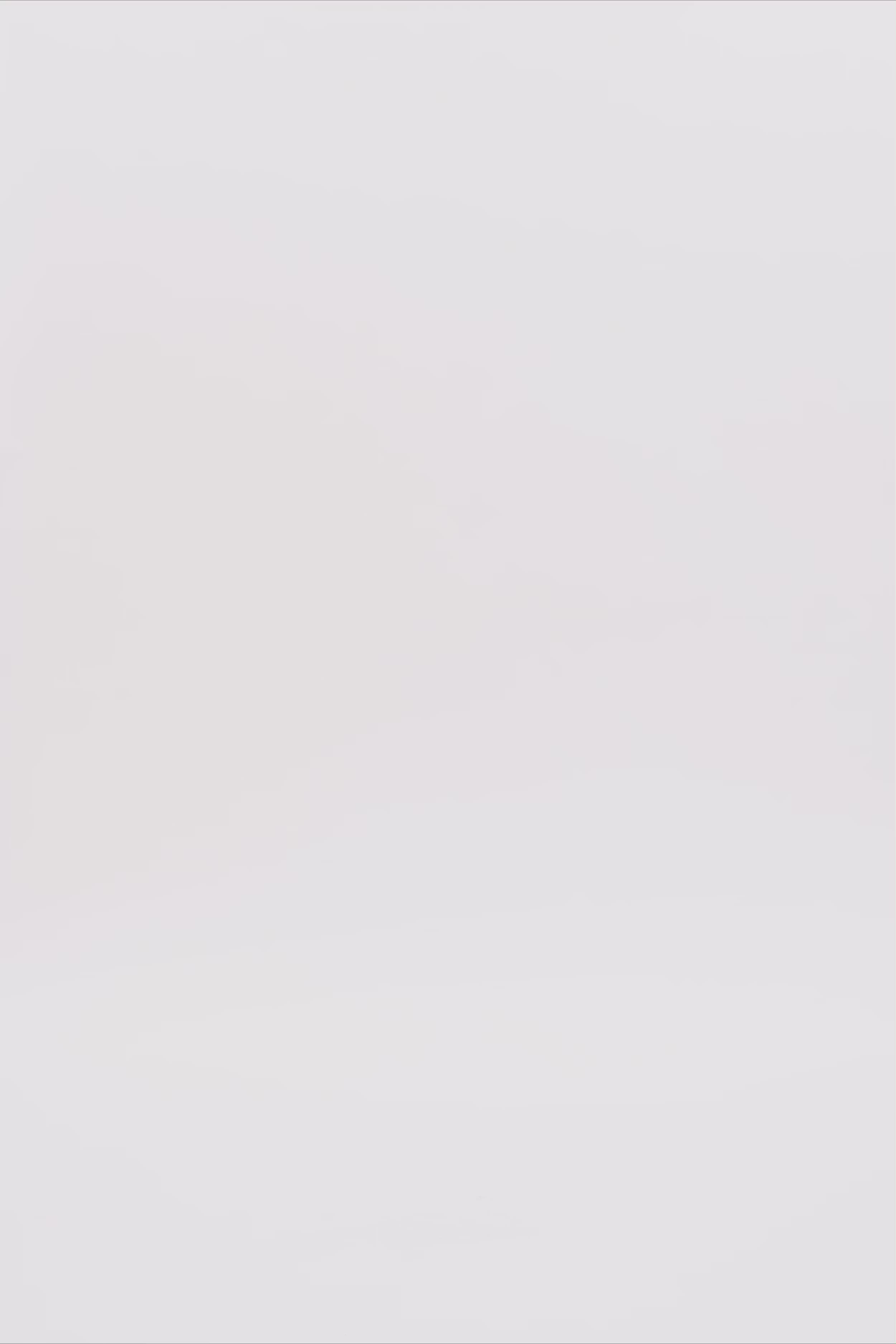 24739_9999_3.mov media file