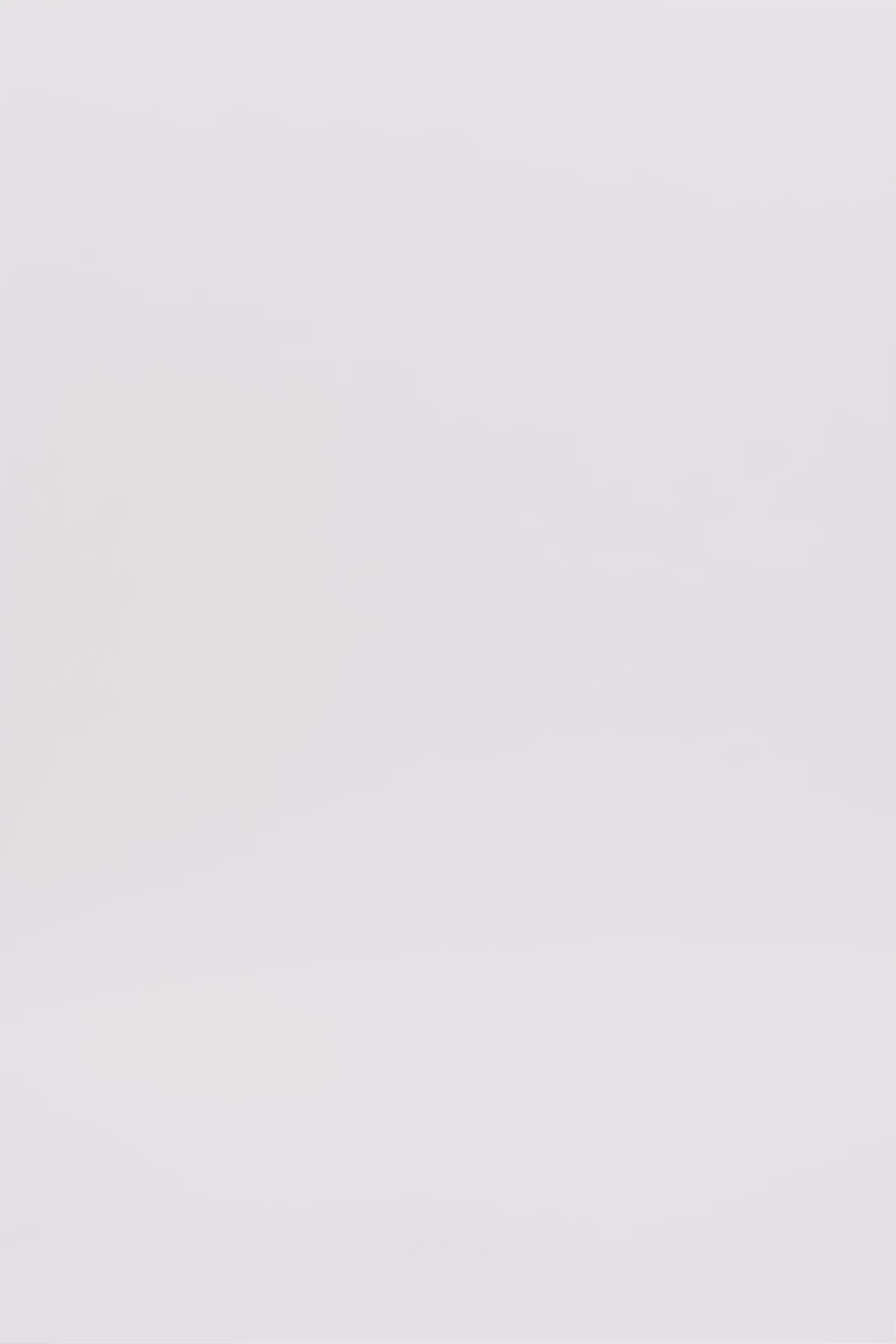 24807_3076_3.mov media file