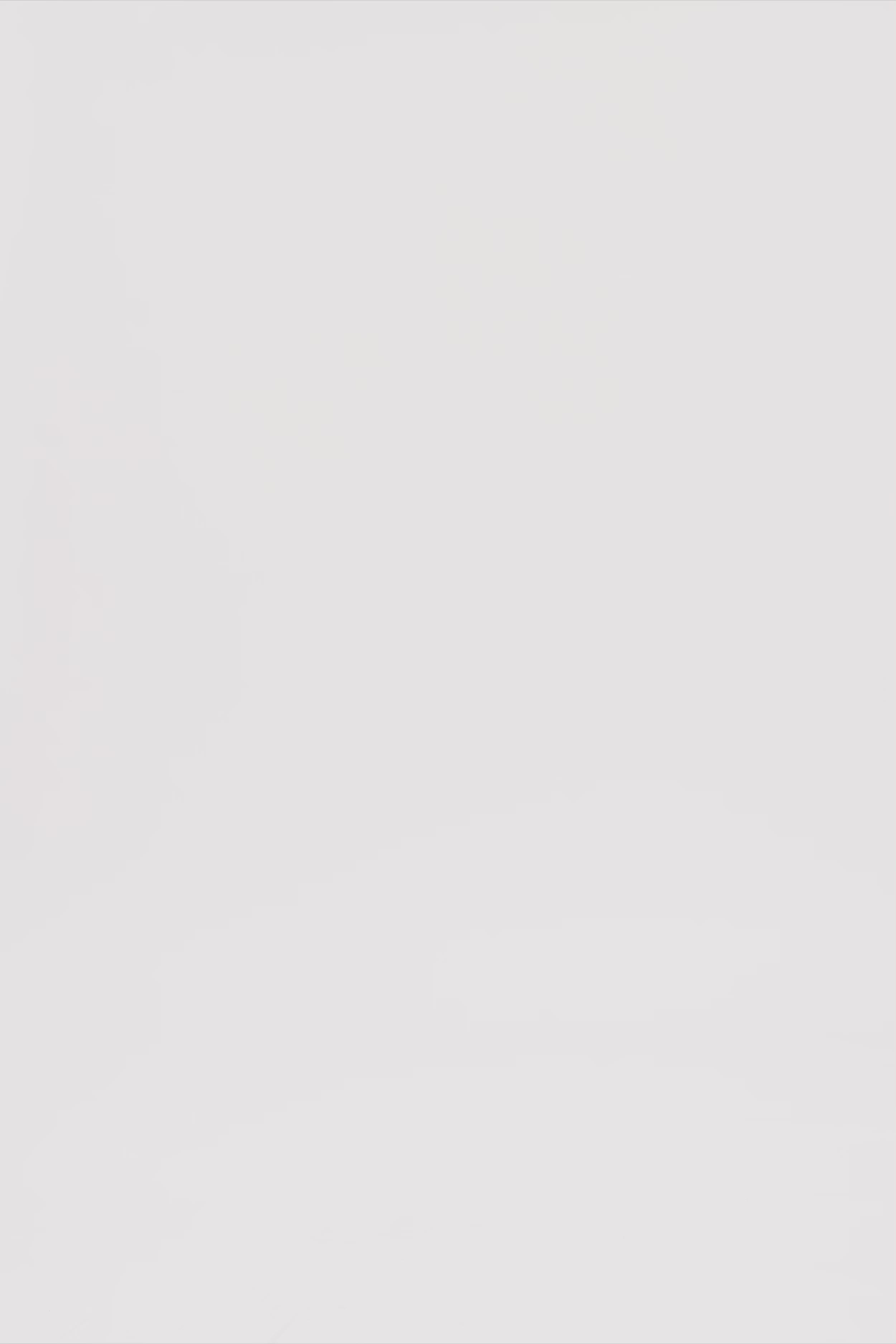 24602_9999_3.mov media file